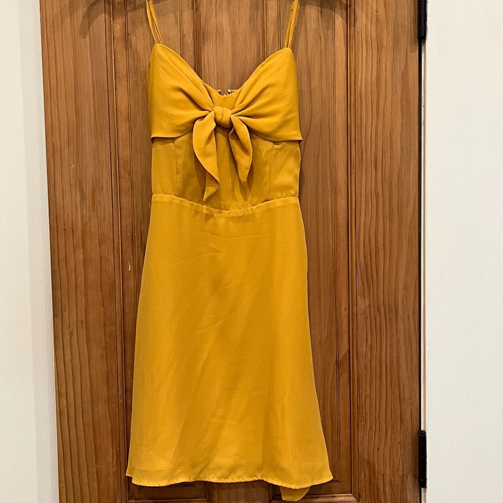 Gianni Bini Swing Dress